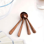 Rustic Cafecore Bronze Measuring Spoon Set Of 4 Nestasia