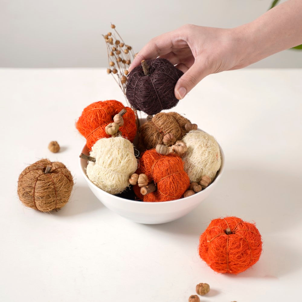 Pumpkin Organic Festive Decor Potpourri Nestasia