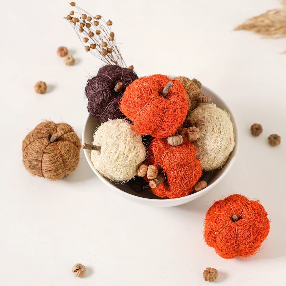 Pumpkin Organic Festive Decor Potpourri Nestasia