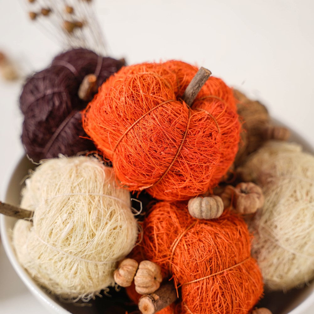 Pumpkin Organic Festive Decor Potpourri Nestasia