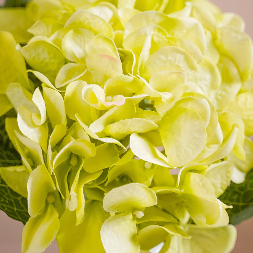 Hydrangea With Leaves Green Nestasia