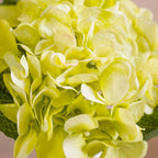 Hydrangea With Leaves Green Nestasia