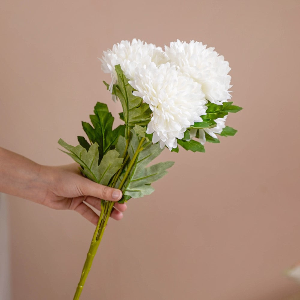 Chrysanthemum Flower White Set Of 5 Nestasia