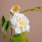 Rose Bouquet For Home Decor White Nestasia