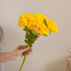Chrysanthemum Flower Yellow Set Of 5 Nestasia