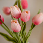 Tulip Flower Pink Set Of 9 Nestasia