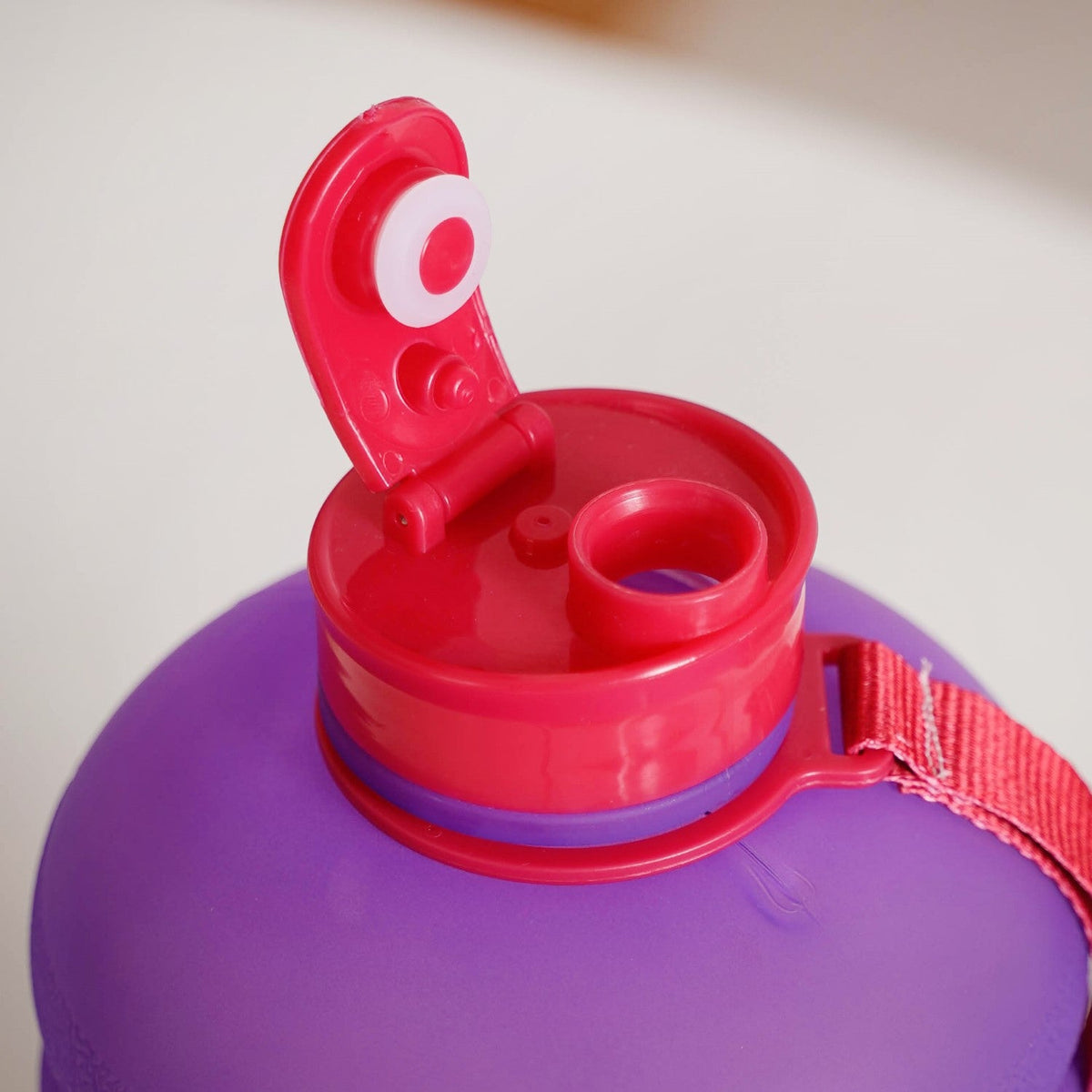 AquaBurst Large Gym Water Bottle With Handle Ombre Purple Red 2200ml Nestasia