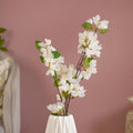 Bougainvillea Flower Nestasia