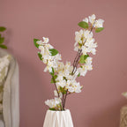 Bougainvillea Flower Nestasia