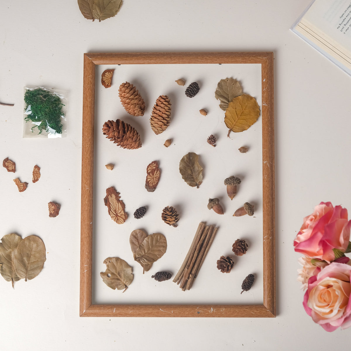 Natural Dried Flowers Nestasia
