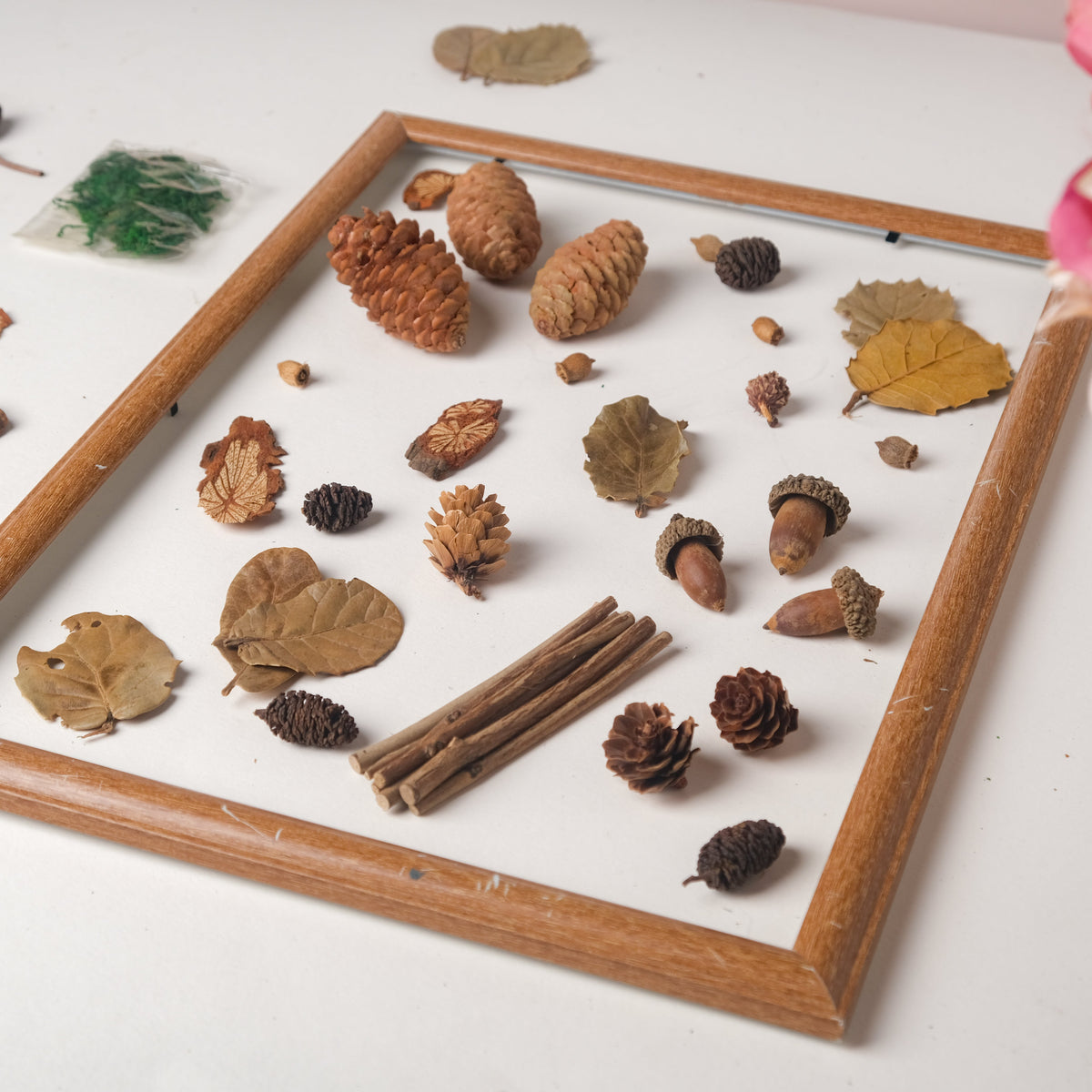 Natural Dried Flowers Nestasia