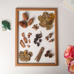 Natural Dried Flowers Nestasia