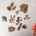 Natural Dried Flowers Nestasia
