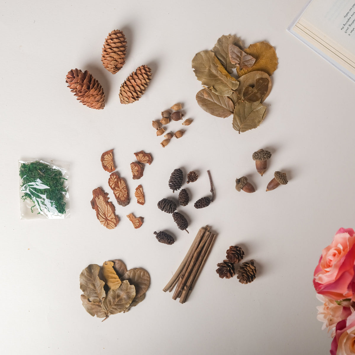 Natural Dried Flowers Nestasia