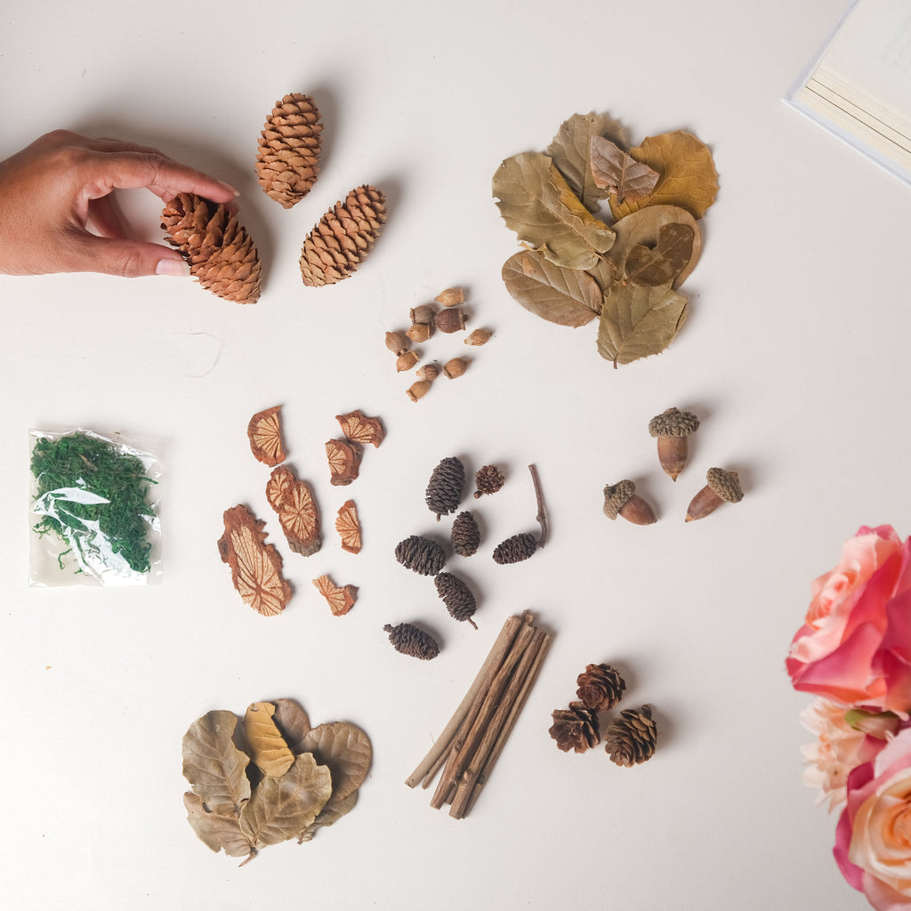 Natural Dried Flowers Nestasia