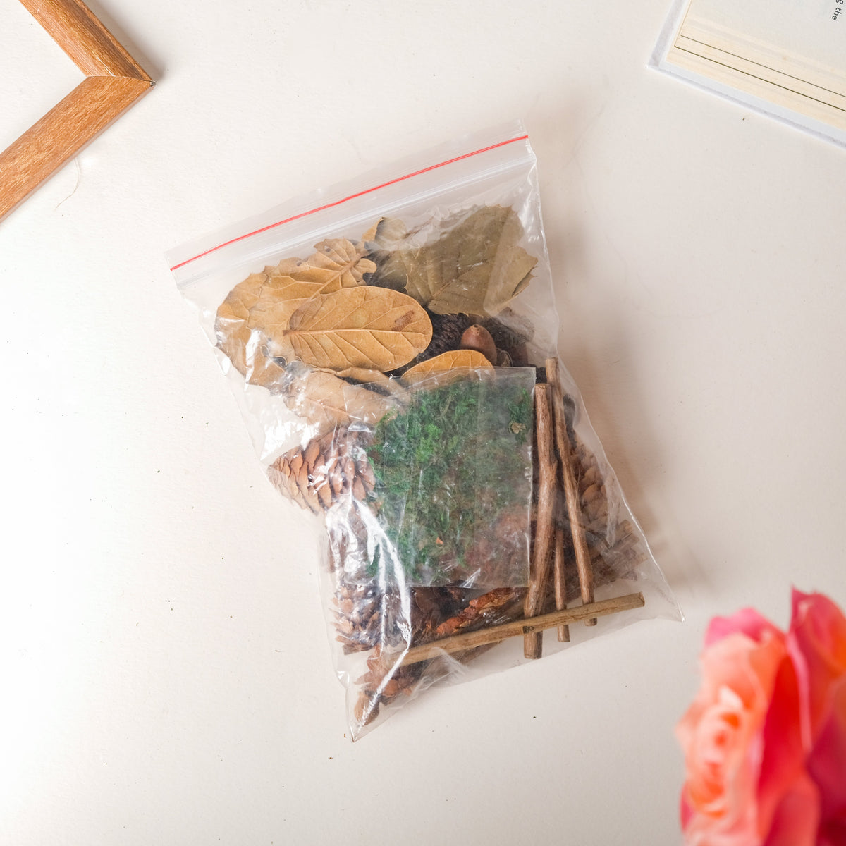 Natural Dried Flowers Nestasia