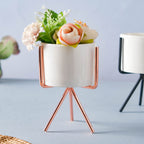 Ceramic Flower Pot with Metal Stand