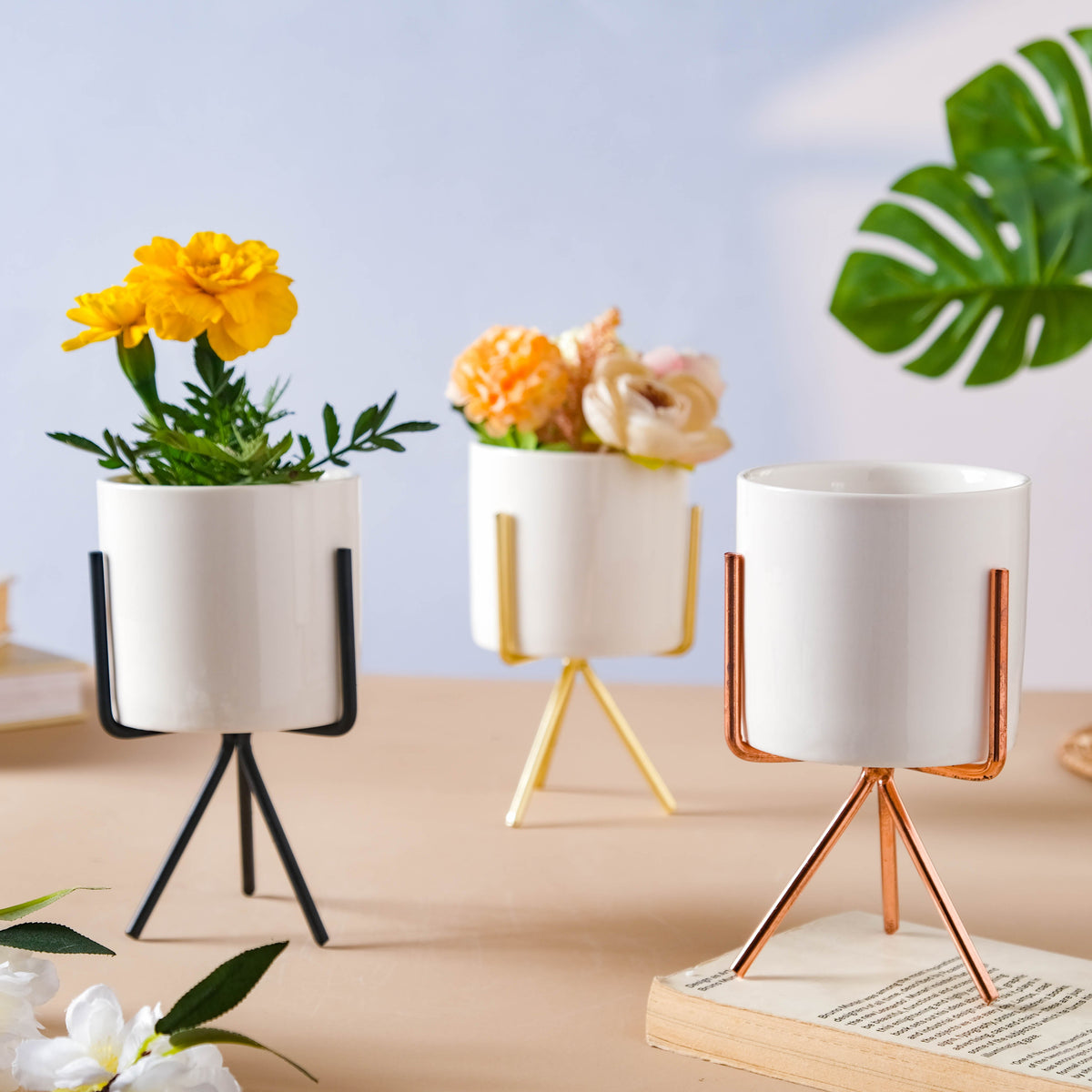 Porcelain Planter Nestasia