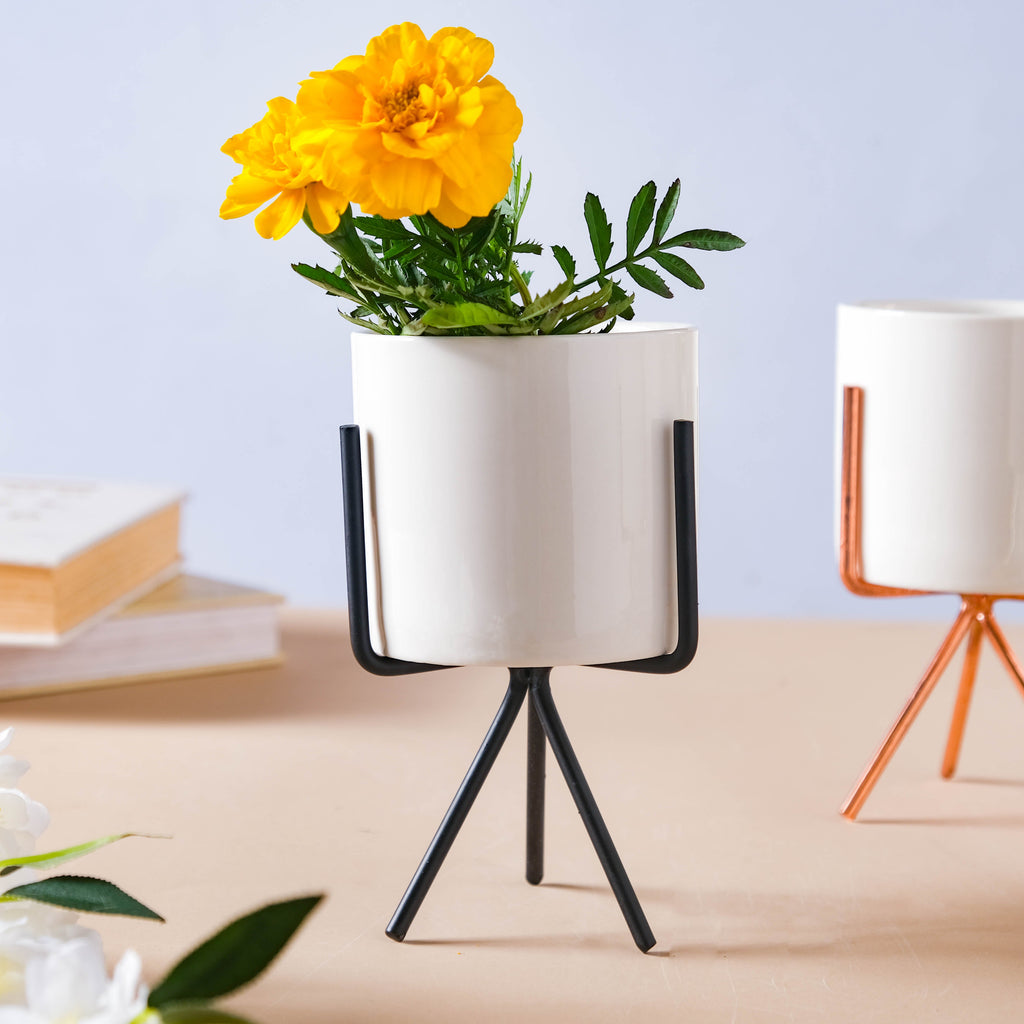 Porcelain Planter Nestasia