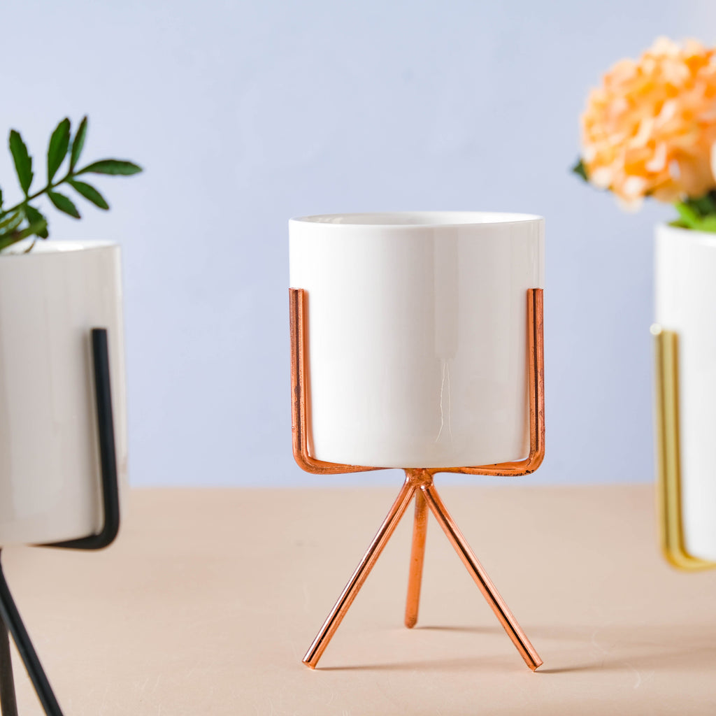 Porcelain Planter Nestasia