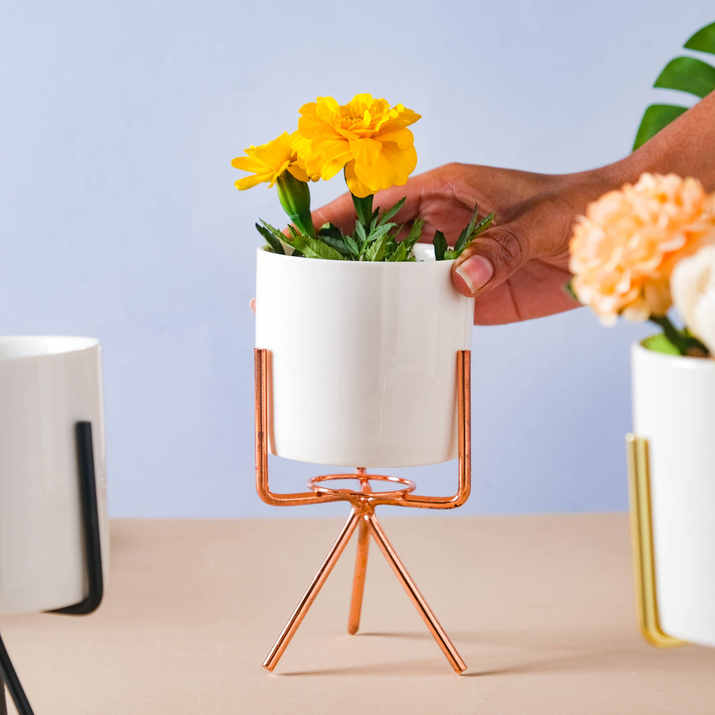 Porcelain Planter Nestasia