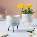 Small Marble Ceramic Indoor Planter Nestasia
