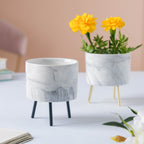 Small Marble Ceramic Indoor Planter Nestasia