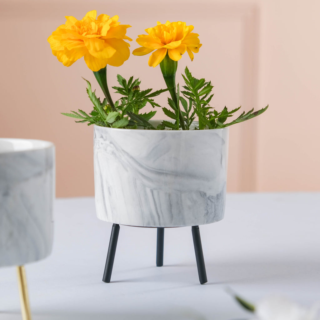Small Marble Ceramic Indoor Planter Nestasia