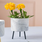 Small Marble Ceramic Indoor Planter Nestasia
