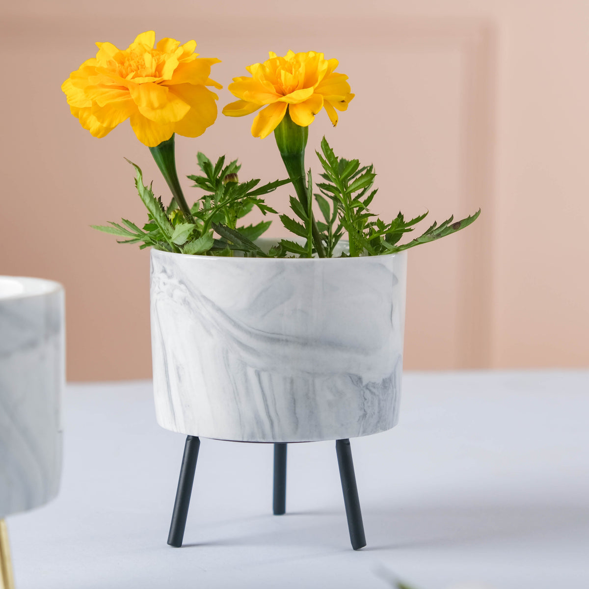 Small Marble Ceramic Indoor Planter Nestasia