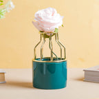 Small Ceramic Pot for Plants Nestasia