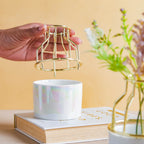 Small Ceramic Pot for Plants Nestasia