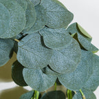 Eucalyptus Leaf Vine For Decoration Green Nestasia