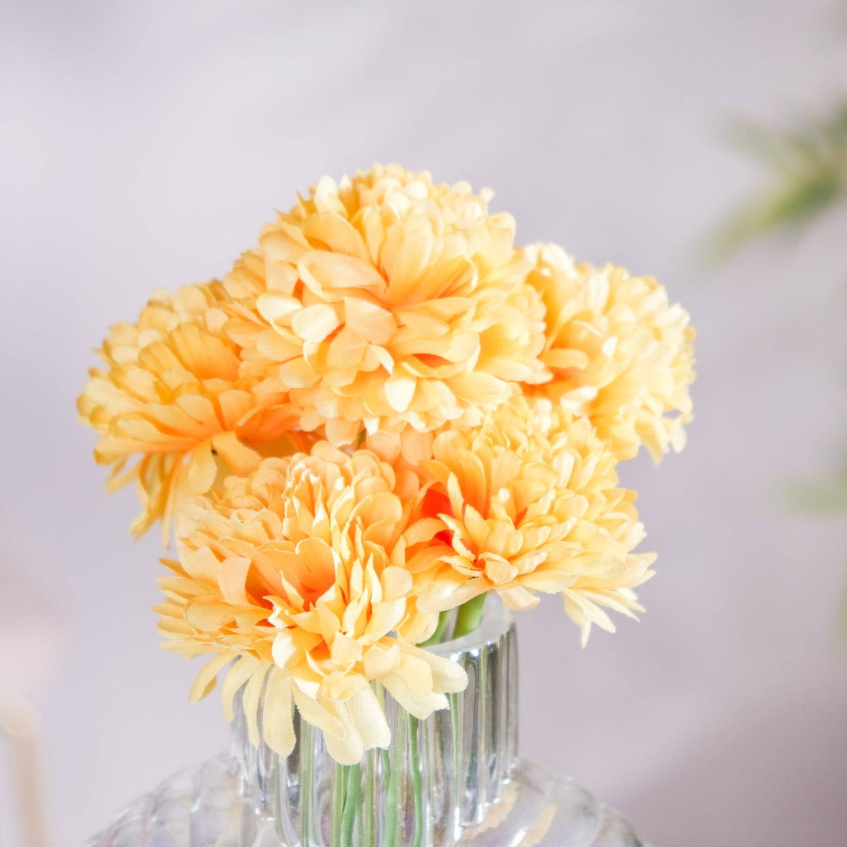 Chrysanthemum Flower Yellow Set Of 5 Nestasia
