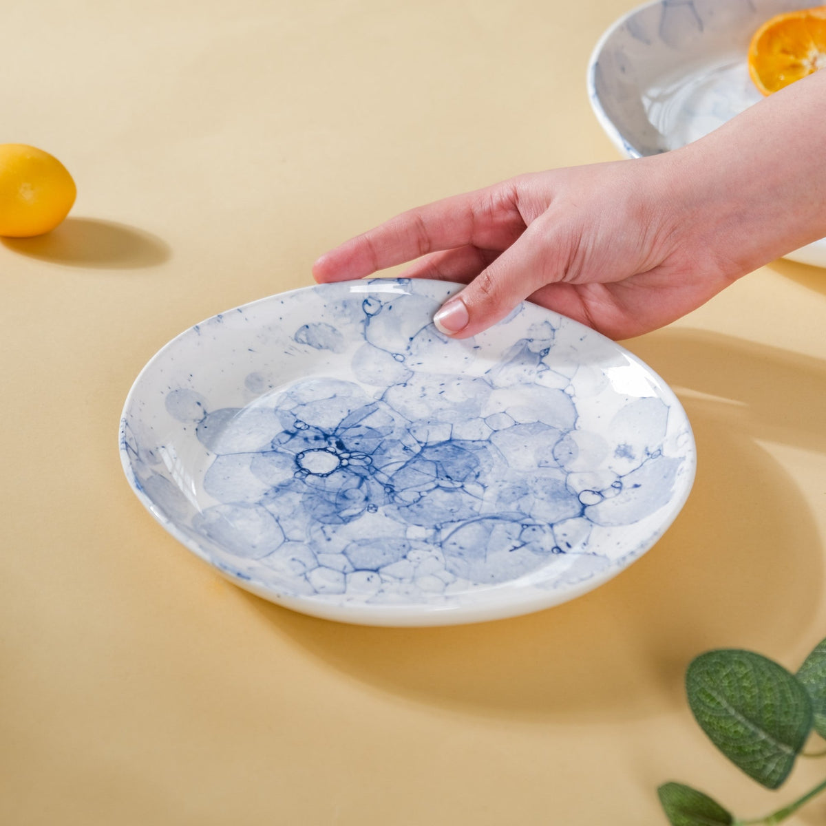 Amusant Appetizer Plate Nestasia
