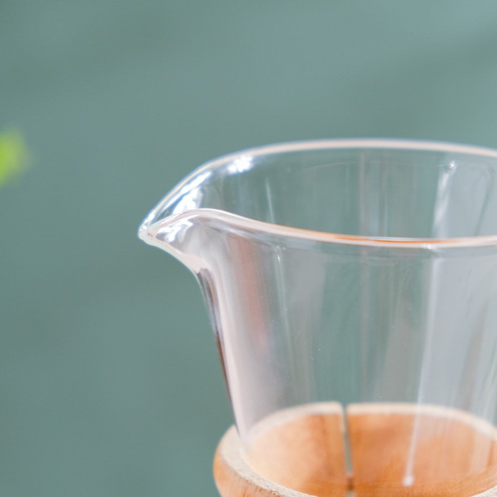 Manual Drip Coffee Filter With Glass Carafe Large 600ml Nestasia