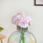 Chrysanthemum Light Pink Set Of 5 Nestasia