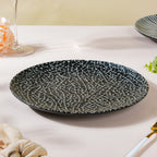 Stone Patterned Ceramic Dinner Plate Black 9.5 Inch Nestasia