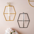Hanging Glass Planter - Hexagon Nestasia