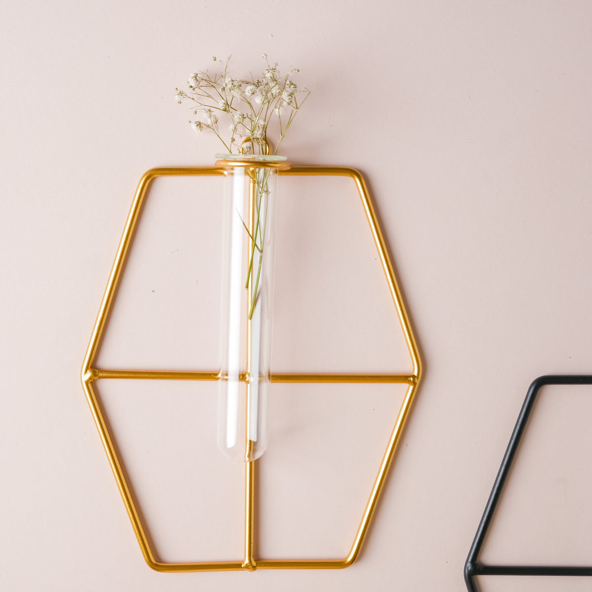 Hanging Glass Planter - Hexagon Nestasia