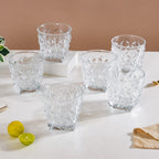 Whiskey Glass Set Of 6 300ml Nestasia