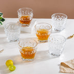 Whiskey Glass Set Of 6 300ml Nestasia