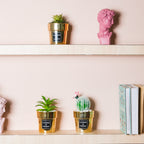 Artificial Succulent Pot Nestasia