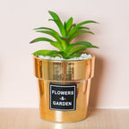 Artificial Succulent Pot Nestasia