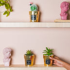 Artificial Succulent Pot Nestasia