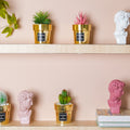 Faux Succulent Pot Nestasia