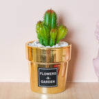 Faux Succulent Pot Nestasia