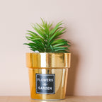 Faux Succulent Pot Nestasia