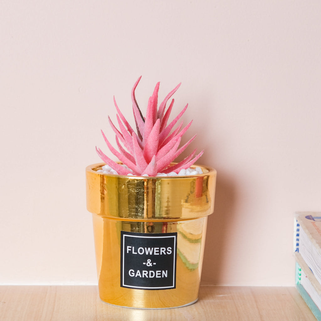 Faux Succulent Pot Nestasia