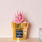 Faux Succulent Pot Nestasia